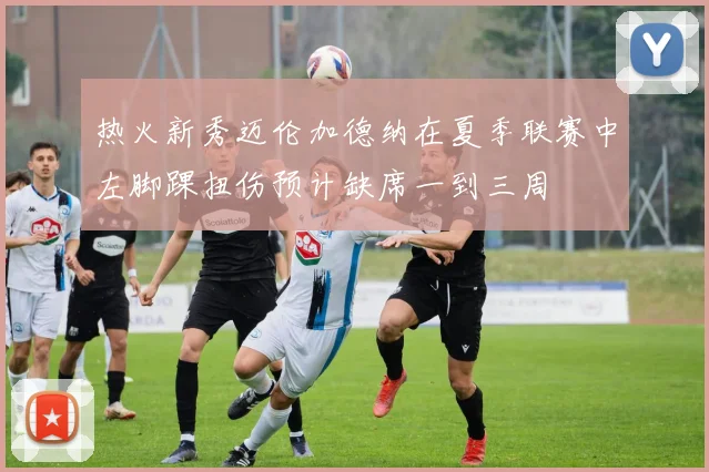 热火新秀迈伦加德纳在夏季联赛中左脚踝扭伤预计缺席一到三周